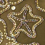 STAUD Sale Caro Bucket Bag Starfish