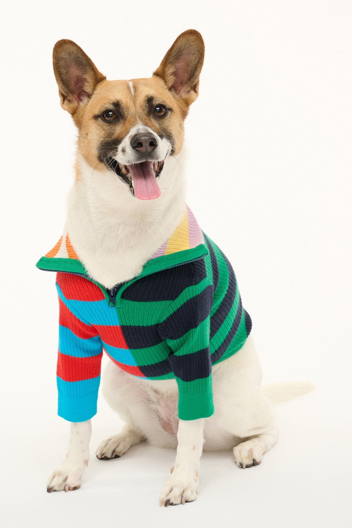 STAUD Pet Pet Hampton Sweater - Cabana Stripe Multi