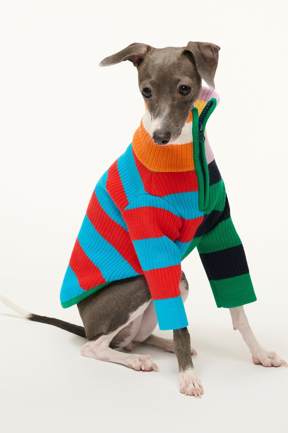STAUD Pet Pet Hampton Sweater - Cabana Stripe Multi