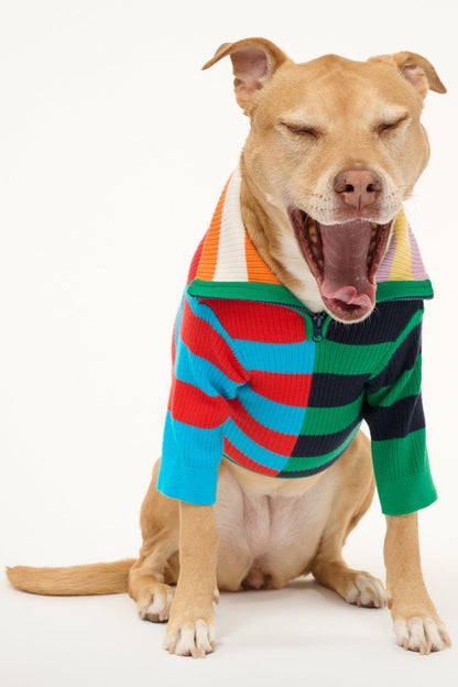 STAUD Pet Pet Hampton Sweater - Cabana Stripe Multi