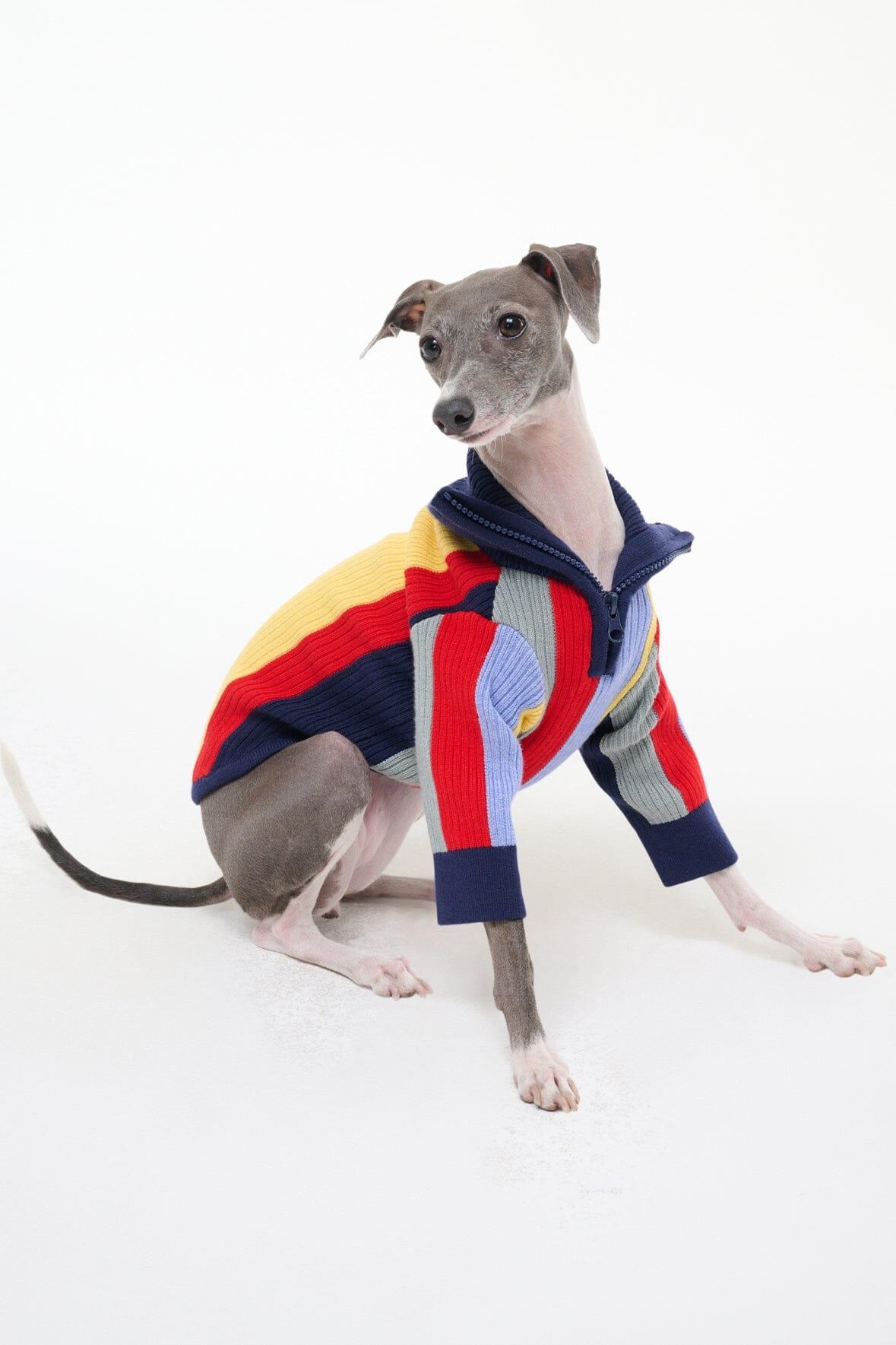 STAUD Pet Pet Hampton Sweater Market Stripe