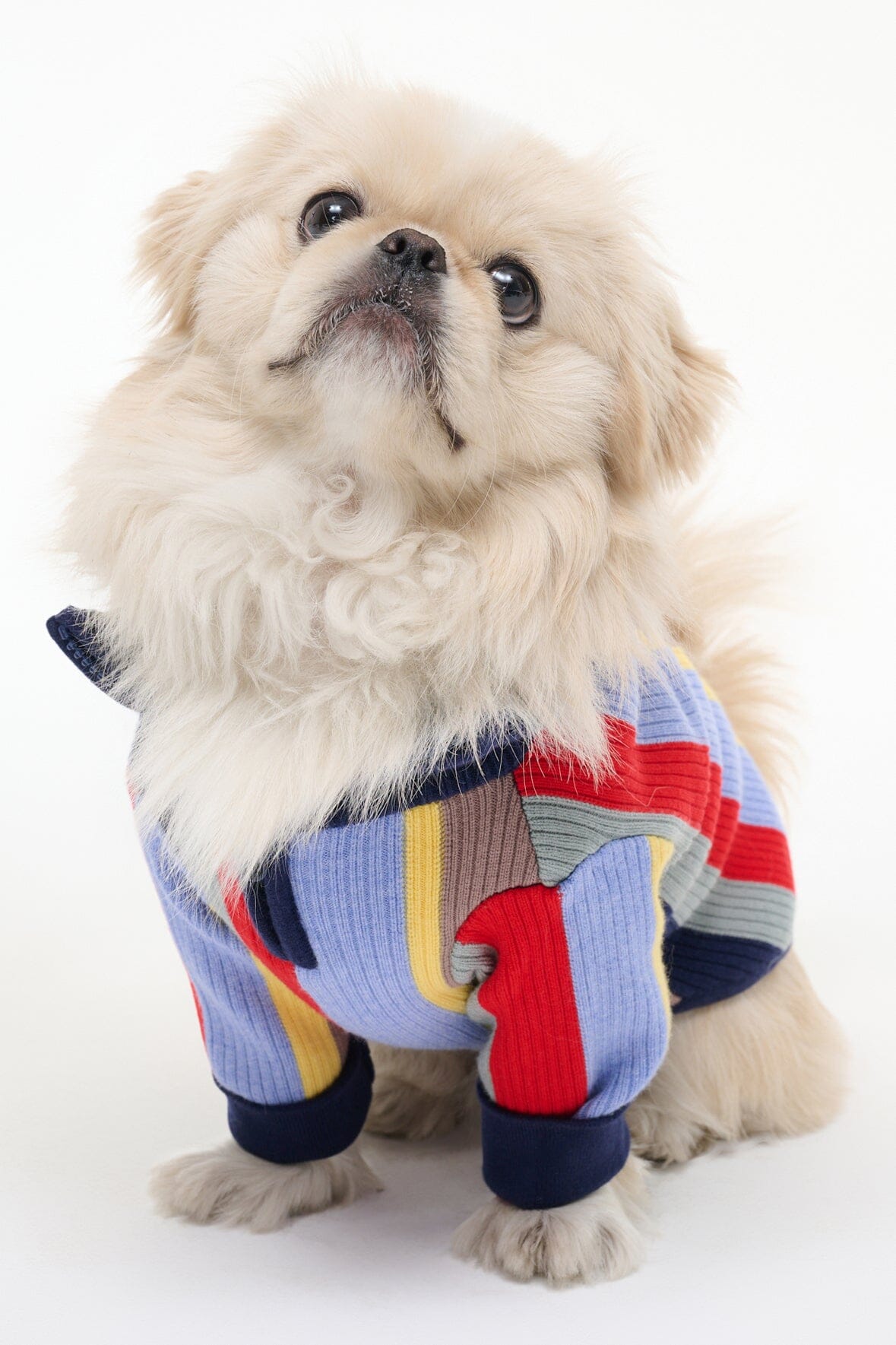 STAUD Pet Pet Hampton Sweater Market Stripe