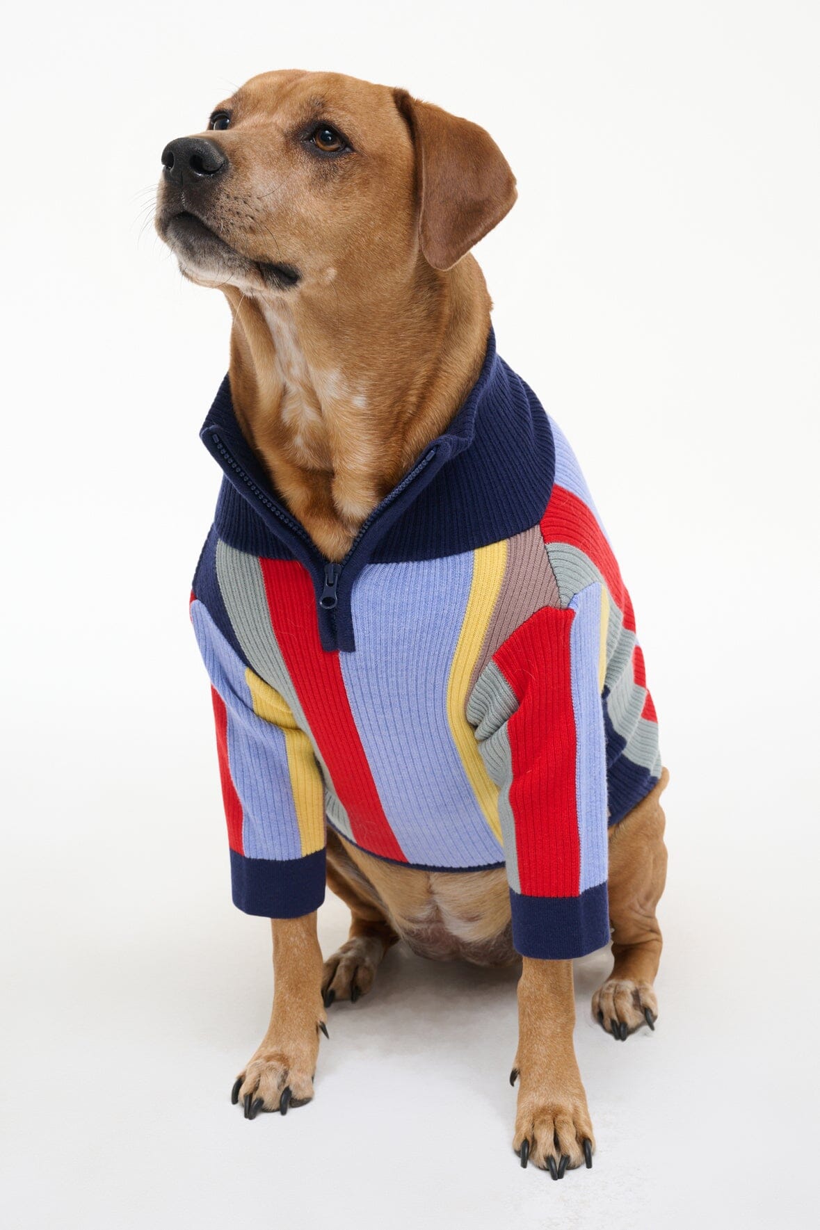STAUD Pet Pet Hampton Sweater Market Stripe