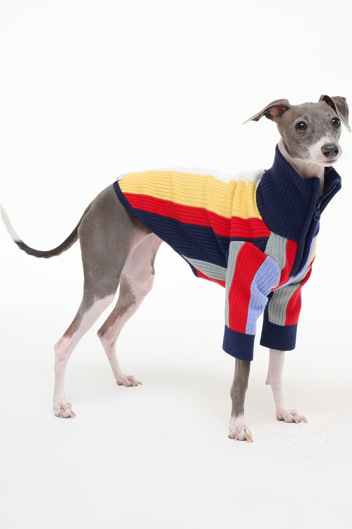STAUD Pet Pet Hampton Sweater Market Stripe