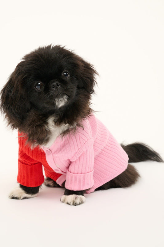 STAUD Pet Pet Shoko Sweater - Poppy Rosebud