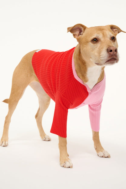 STAUD Pet Pet Shoko Sweater - Poppy Rosebud