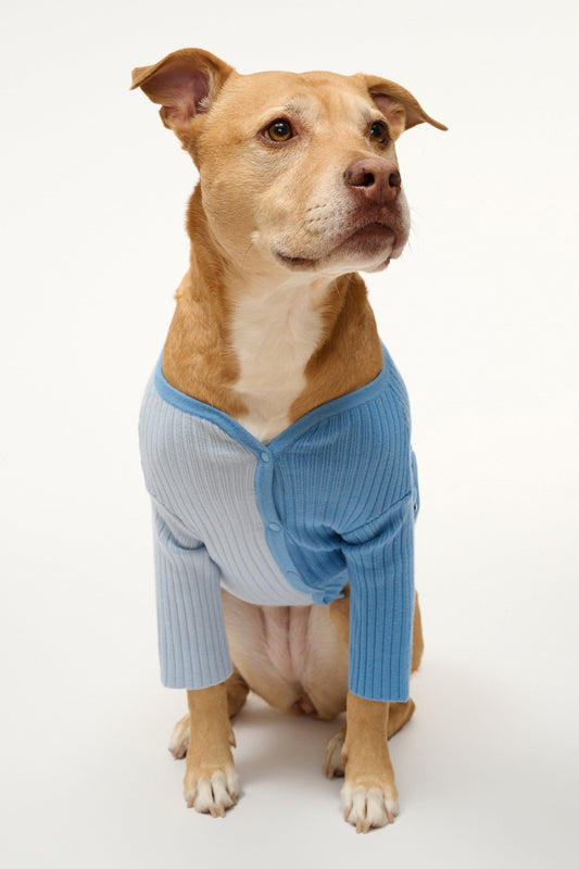 STAUD Pet Pet Shoko Sweater - Periwinkle Multi