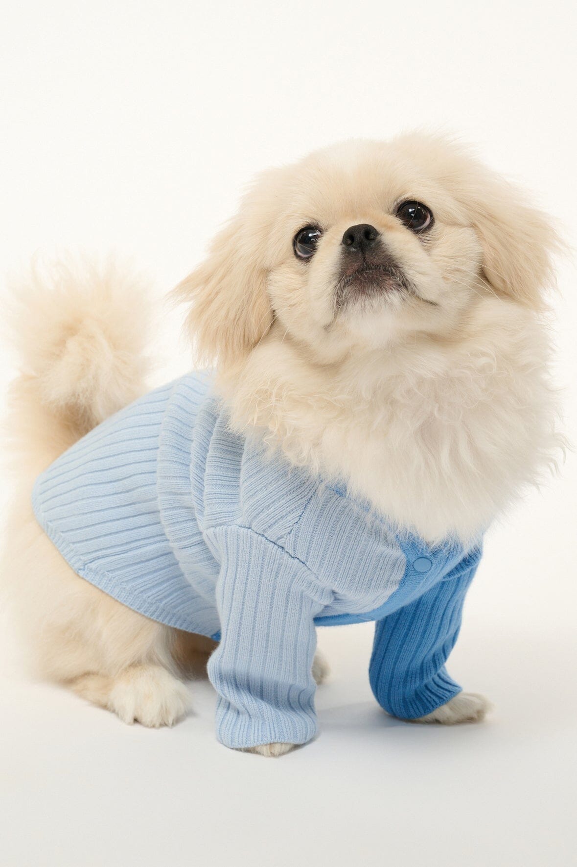 STAUD Pet Pet Shoko Sweater - Periwinkle Multi
