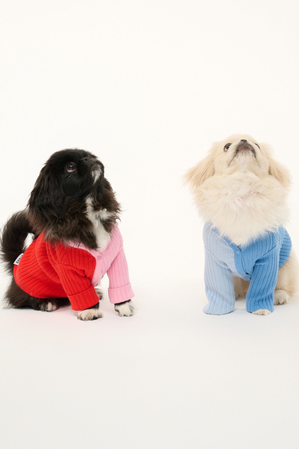 STAUD Pet Pet Shoko Sweater - Periwinkle Multi