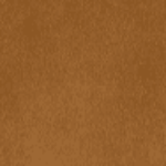 STAUD Shoes Wide Shaft Wally Boot Tan Suede