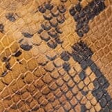 STAUD Sale Wally Ankle Boot Snake